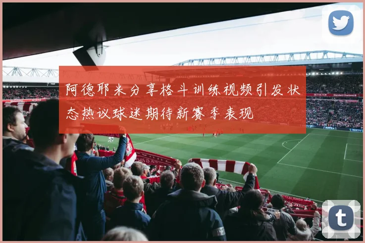 阿德耶米分享格斗训练视频引发状态热议球迷期待新赛季表现