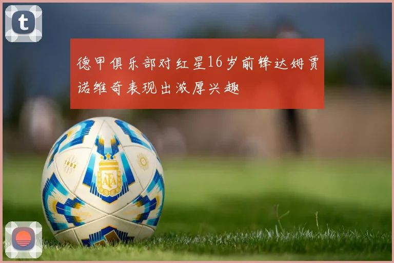 德甲俱乐部对红星16岁前锋达姆贾诺维奇表现出浓厚兴趣