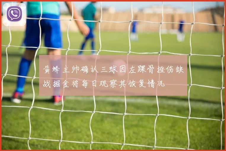黄蜂主帅确认三球因左踝骨挫伤缺战掘金将每日观察其恢复情况