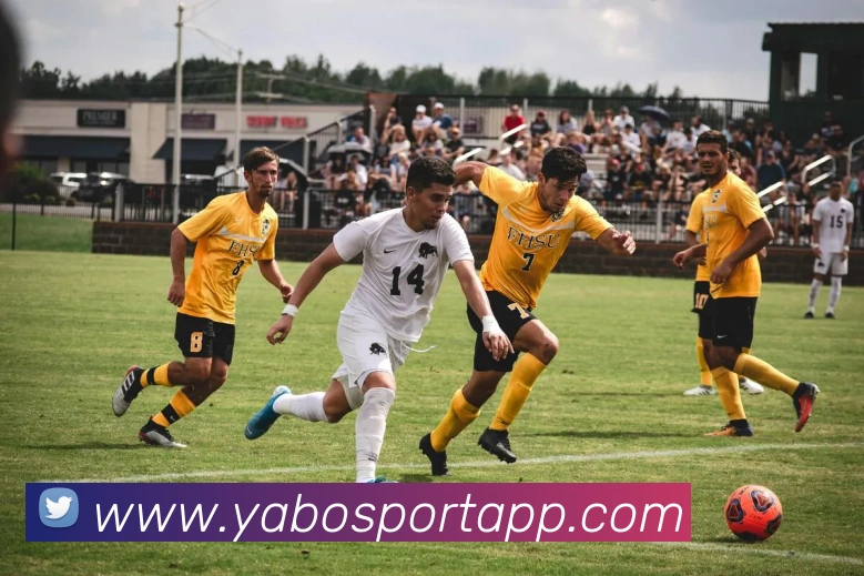 亚博体育服务体系